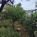 カントリーハウス Janilla Dhërmi