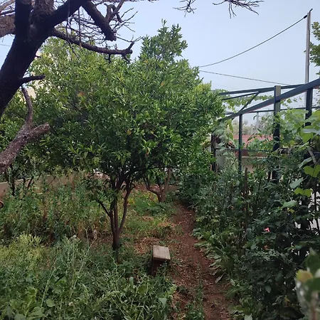 Gospodarstwo wiejskie Janilla Dhërmi