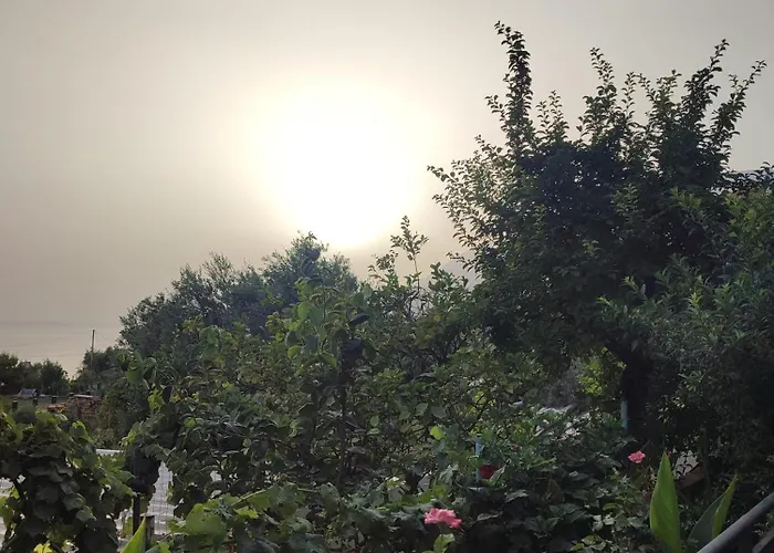 Gospodarstwo wiejskie Janilla Dhërmi